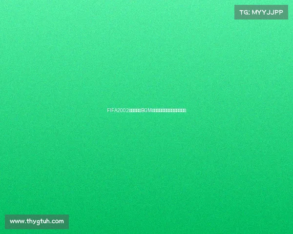 FIFA2002世界杯经典BGM回忆燃情绿茵赛场青春旋律再现